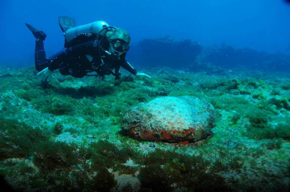 mergulho no Buraco das Cabras, em Fernando de Noronha - PE (foto de Mateus Harfush - Ciliares)